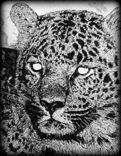 art_drawings_leopard01